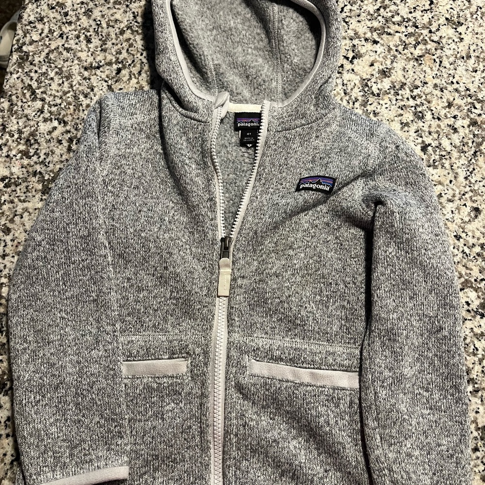 Patagonia Kids' Heathered Gray Hoodie